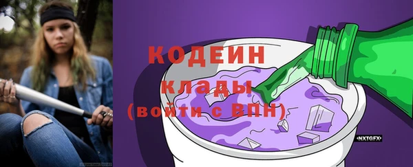 дмт Заречный