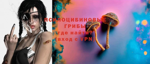 дмт Заречный